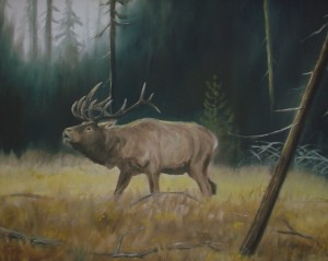 2000_dad_elk